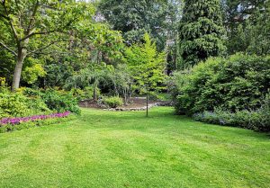 Optimiser l'expérience du jardin à Trainou