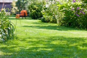 travaux jardin et paysage Trainou